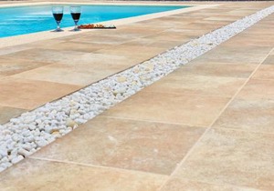 Canaryislandshost l My Nest