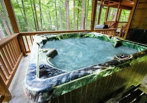 Cant Wait to Hibernate Cabin