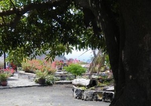 Casa Los Melindros overlooks the sea and volcanoes