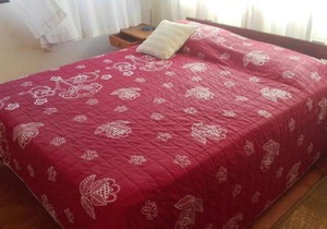 Casa Tongoy
