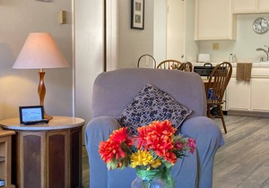 Catalina Got Cart Condo !