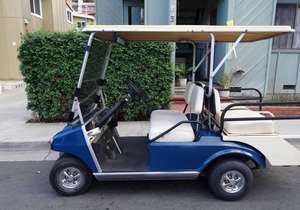 Catalina Got Cart Condo !