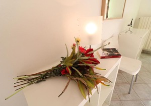 Central Apartment With Wi-fi, Air Conditioning And Balcony; Pets Allowed