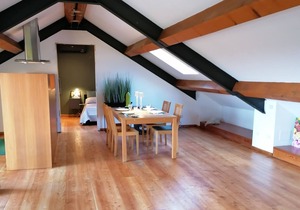 central modern large attic