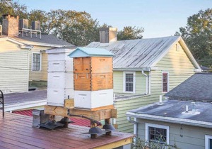 Charming Charlton by Lucky Savannah