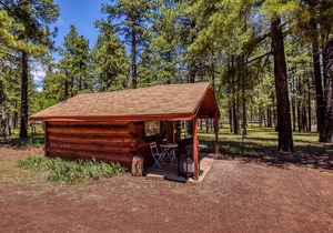 Charming & Historical 1 Room Log Cabin / Forest Views/ 20 minutes from Flagstaff