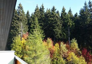 Cihlářka - Apartmán 309