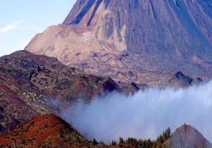 City Center Holiday Home In Playa San Juan