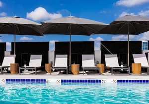Classic Reunion at the Rooftop Poolside Bar, Spacious Unit! Pet-friendly