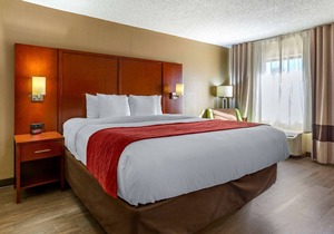 Comfort Inn At the Park