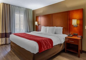 Comfort Inn At the Park Charlotte