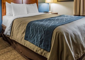 Comfort Inn Belle Vernon