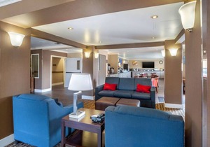 Comfort Inn Castro Valley