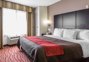 Comfort Inn Los Angeles near Hollywood