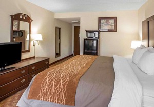 Comfort Inn & Suites at I-85