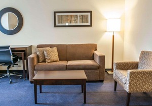 Comfort Suites South