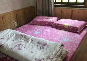 Comfortable and cozy home with 5 suites!