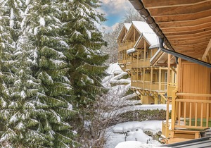 Comfy apartment in Viehhofen with hot tub