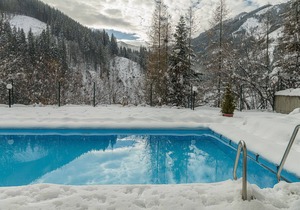 Comfy apartment in Viehhofen with hot tub