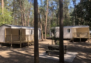 Comfy chalet with deck, in the Antwerp Kempen