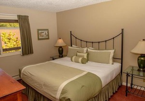 Concept 600 unit 308, Convenient Downtown Location, Private Deck, and Fireplace