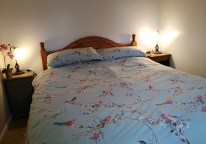 Contemporary Garden Cottage