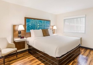 Convenient Stay in Nashville! 4 Convenient Units, Free Breakfast & Parking, Pool