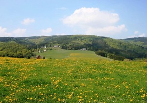 Cosy apartment in Schwalefeld near Willingen with private terrace