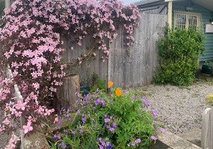 Cottage ∙ 2 bedrooms ∙ 4 guests