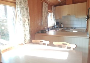 Cottage in the middle of the forest