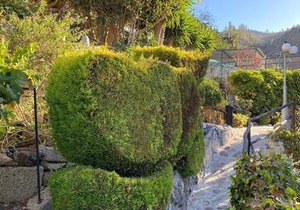 Cottage with 1 Bedroom, 1 Bathroom, Heated solar Pool, Sauna, jacuzzi, Garden