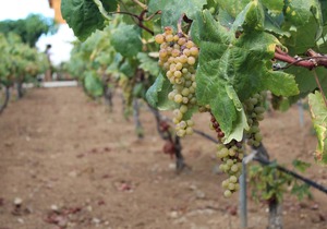 Country house in Icod