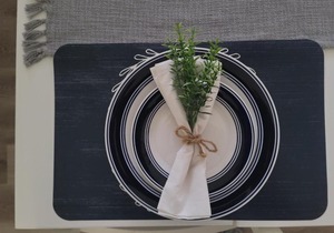 Cozy 3 bed 2 bath pool home near Busch Gardens