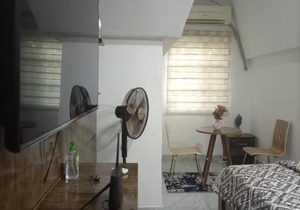 Cozy Pent House Service Apartment in Wuse 2.