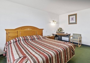 Cozy Petite Single King Suite with Free Breakfast!