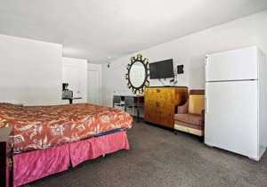 (Cozy studio, 1BR, 1BA, No kitchen)