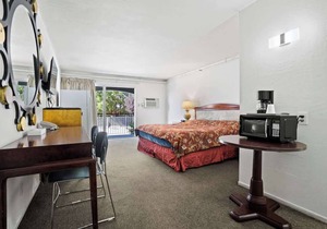 (Cozy studio, 1BR, 1BA, No kitchen)