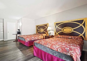 (Cozy studio, 2BED, 1BA, No kitchen)