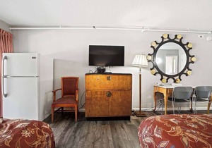 (Cozy studio, 2BED, 1BA, No kitchen)