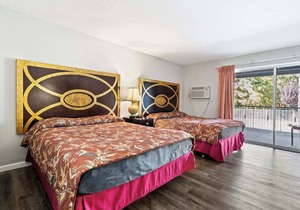 (Cozy studio, 2BED, 1BA, No kitchen)