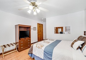 Cozy Studio in Walkable Locale, Near Pulteney Square & Keuka Lake - Free WiFi