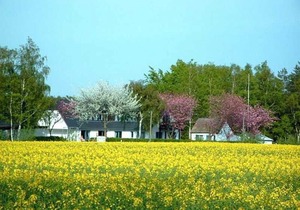 cTyp 2. 17 DZ - Rügen-Fewo u. Pension 93