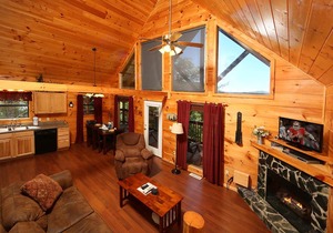 Dare To Bear #238 - Two Bedroom Cabin