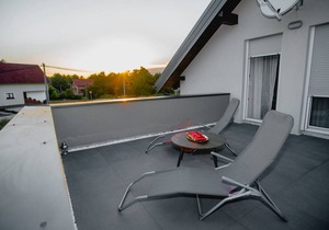 Degenia Velebitica nr 10/1