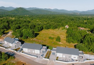 Degenia Velebitica nr 10/1