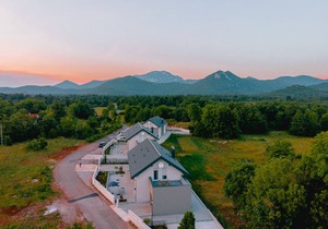 Degenia Velebitica nr 10/1