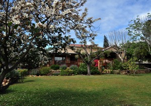 Dempsey's Guest House