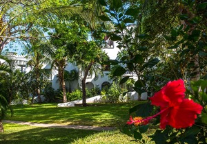 Diani Beach | Kenya | Luxury Swahili Beach Villas at Lantana Galu Beach