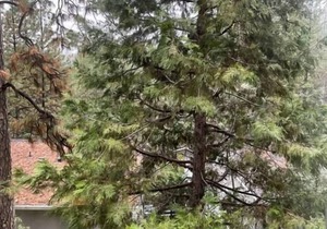 Discover the outdoors, 1st Apple Hill exit, Tahoe