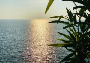 Doñana12 by SunHousesCanarias